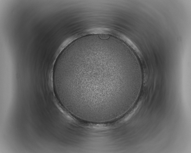 X0000116100986200911301059