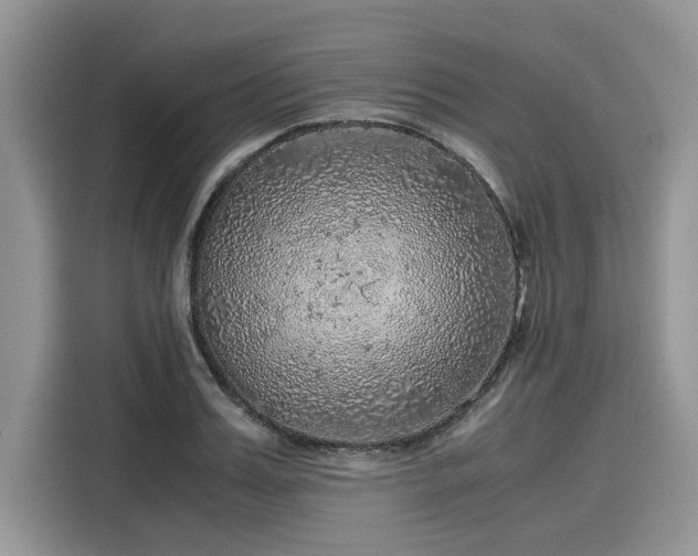 X0000116100987200911301059