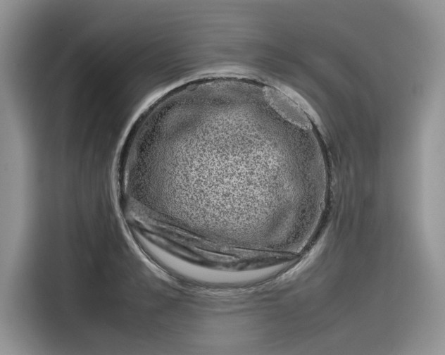 X0000116100989200911301059