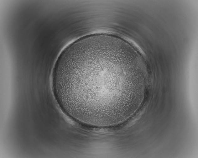 X0000116100991200911301059