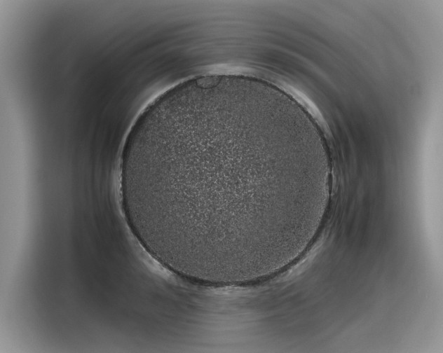 X0000116100992200911301059