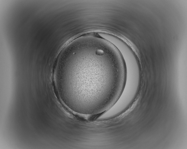 X0000116100993200911301059