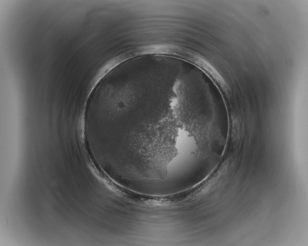 X0000116100994200911301059