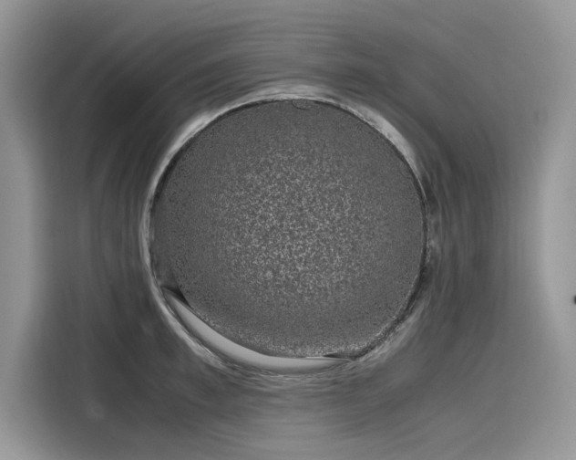 X0000116100997200911301059