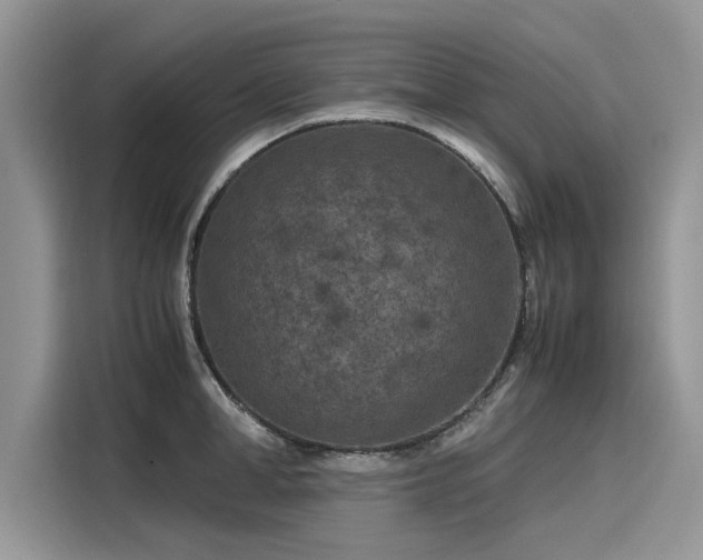 X0000116100998200911301059