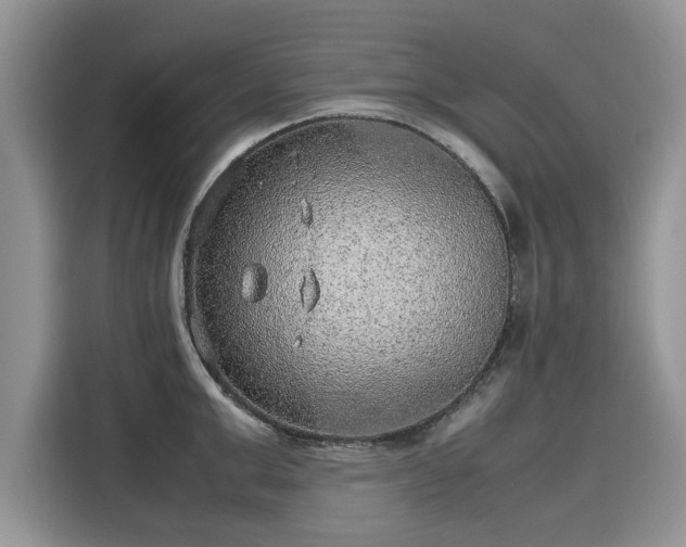 X0000116100999200911301059