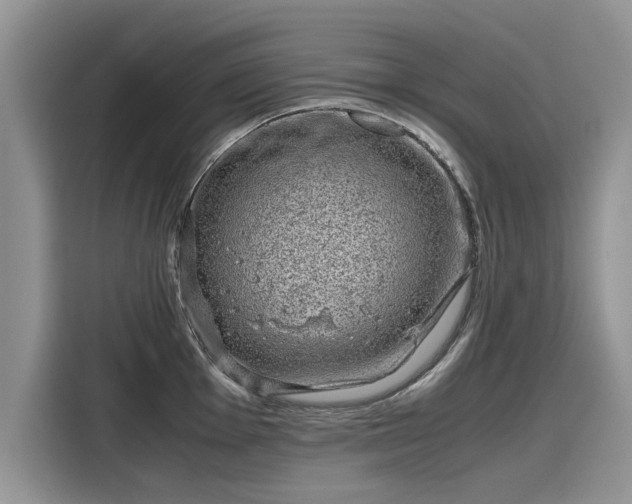 X0000116101001200911301059