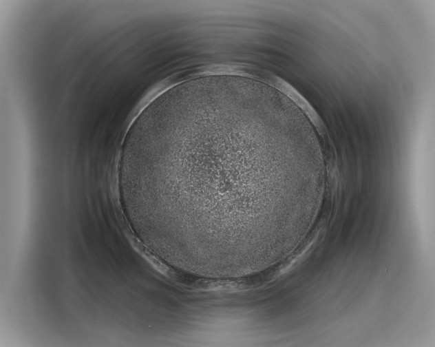 X0000116101002200911301059