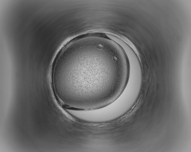 X0000116101005200911301059