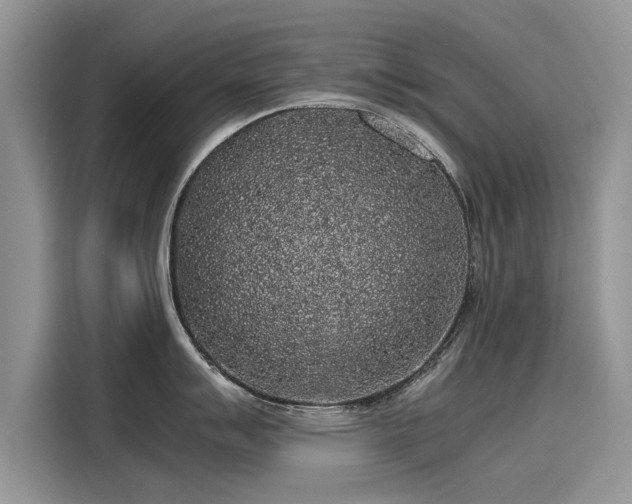 X0000116101007200911301059