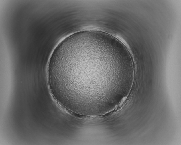 X0000116101008200911301059