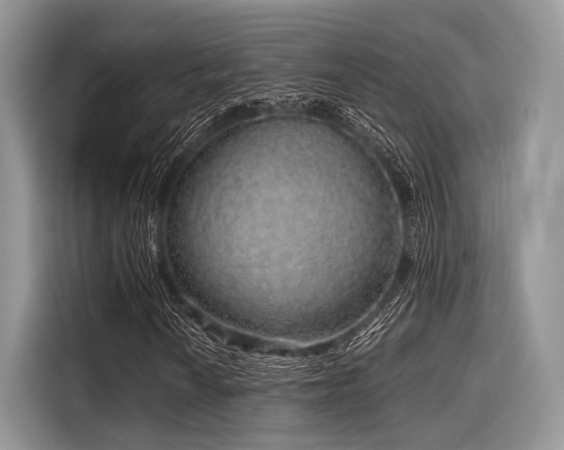 X0000116101010200911301058