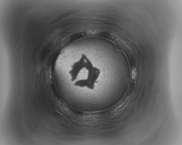 X0000116101011200911301058