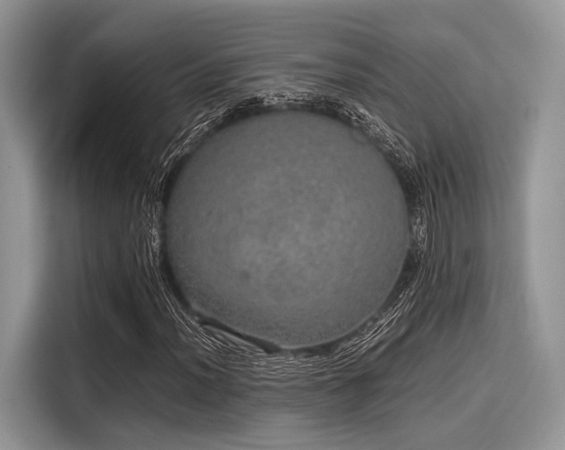 X0000116101012200911301058