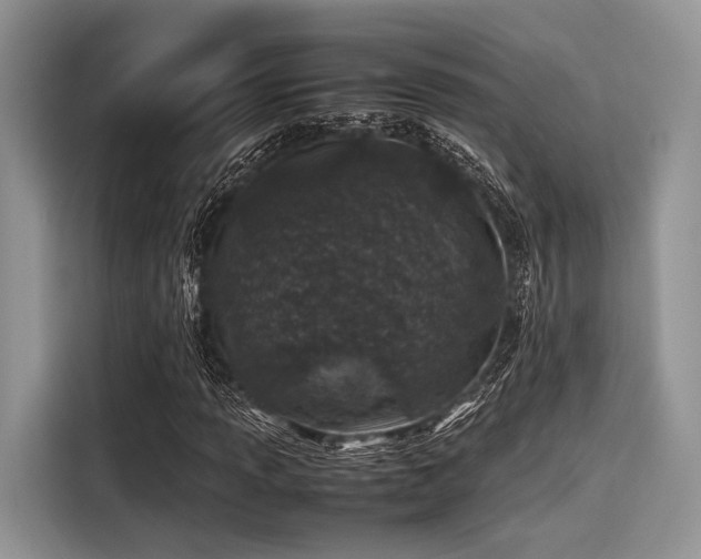 X0000116101013200911301058