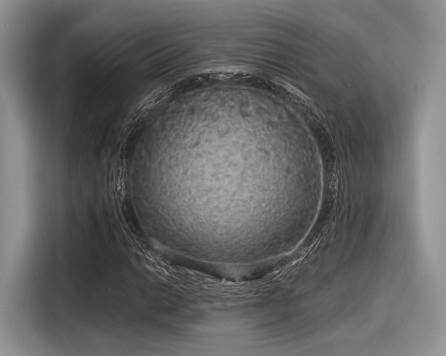 X0000116101014200911301058