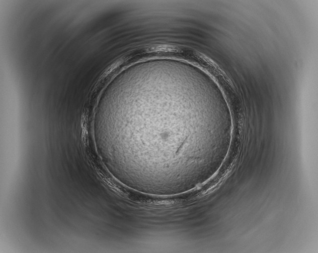 X0000116101017200911301058