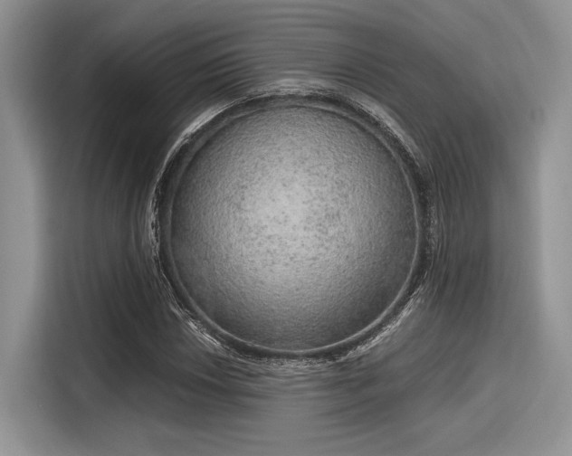 X0000116101018200911301058