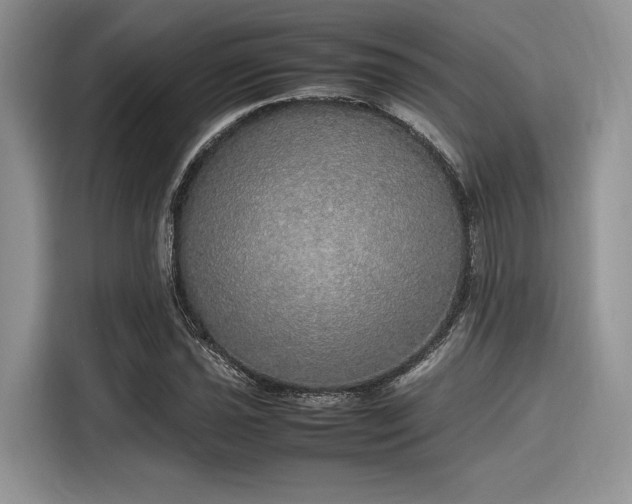 X0000116101021200911301058