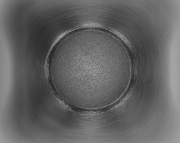 X0000116101022200911301058