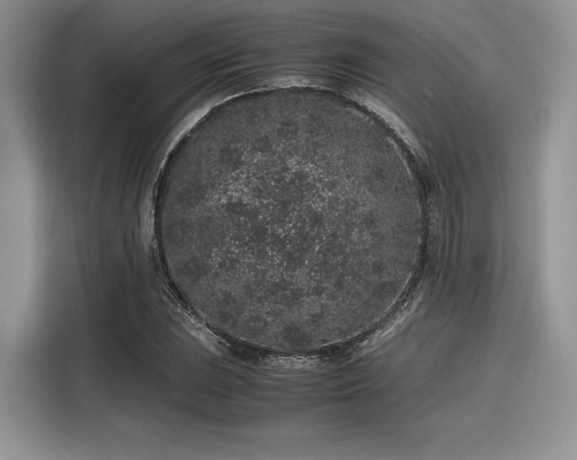 X0000116101023200911301058