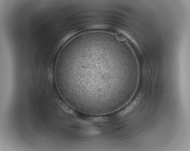 X0000116101025200911301058