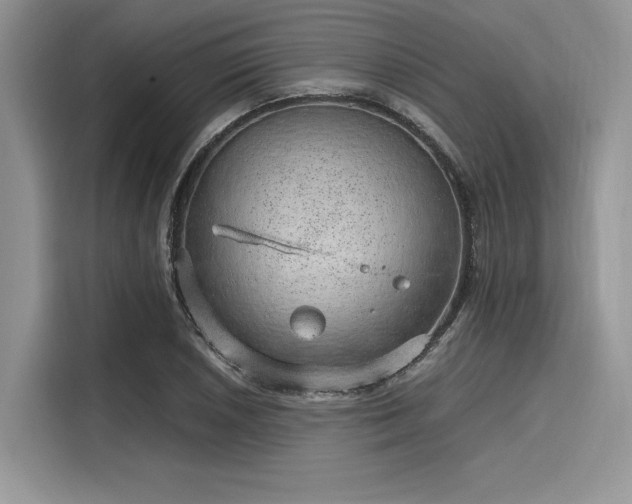 X0000116101026200911301058