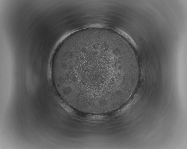 X0000116101027200911301058