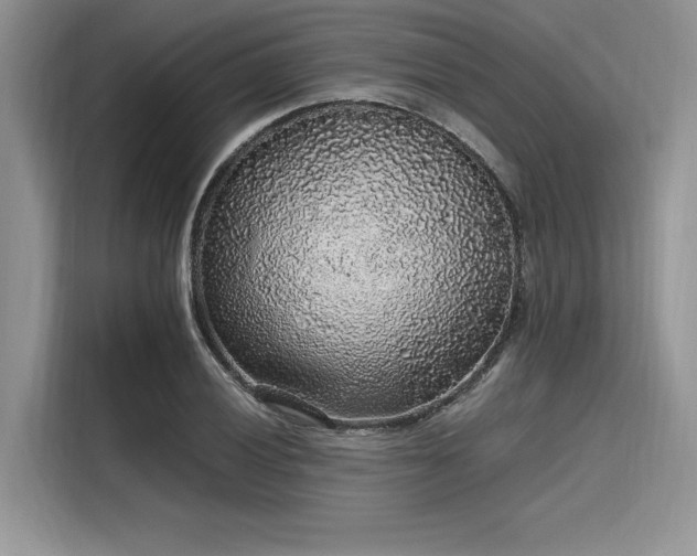 X0000116101028200911301058