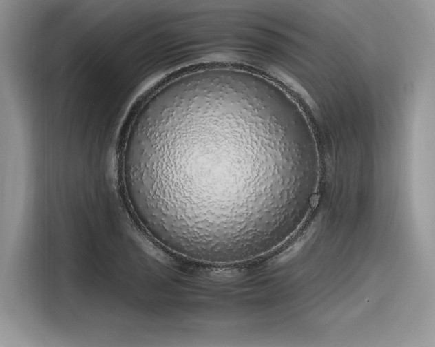 X0000116101029200911301058