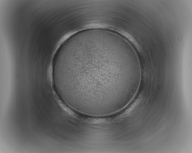 X0000116101030200911301058