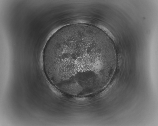 X0000116101031200911301058