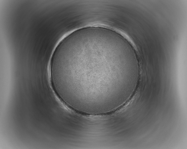 X0000116101032200911301058