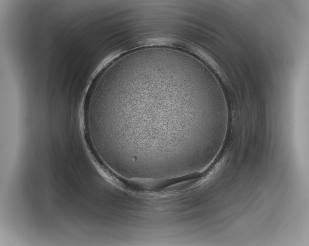 X0000116101034200911301058