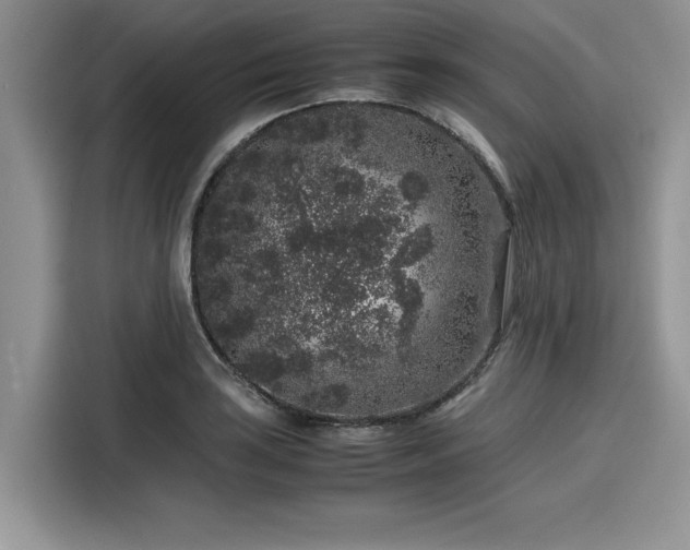 X0000116101035200911301058