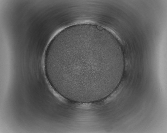 X0000116101038200911301058