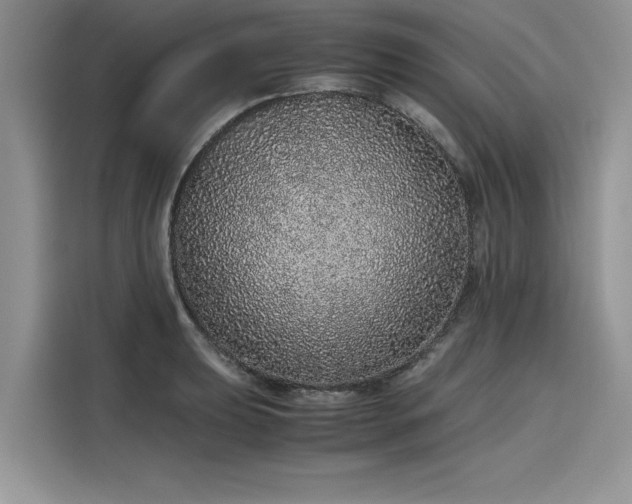 X0000116101039200911301058