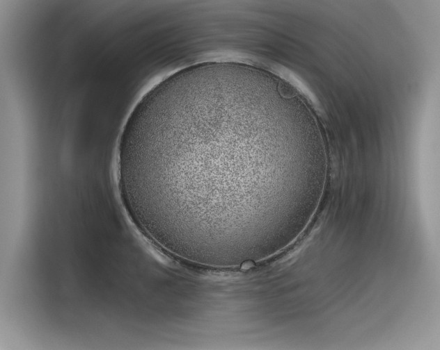 X0000116101040200911301058