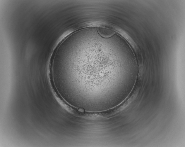 X0000116101042200911301059