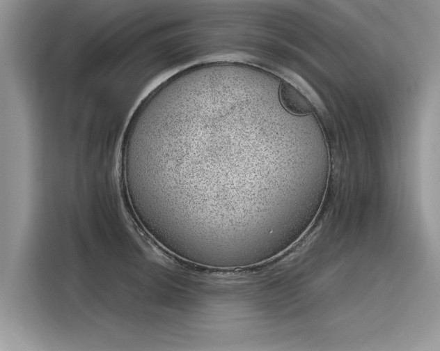 X0000116101044200911301059