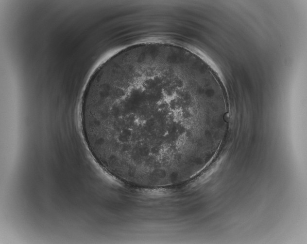 X0000116101045200911301059