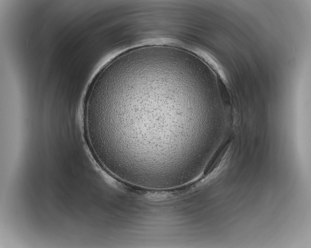 X0000116101046200911301059