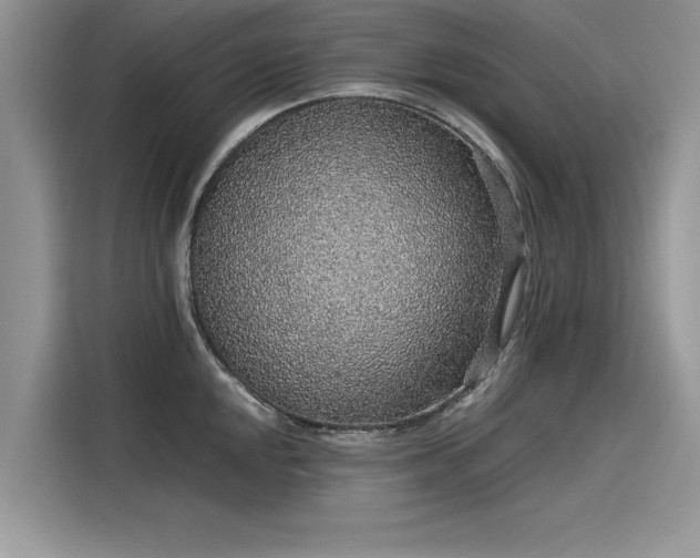 X0000116101048200911301059