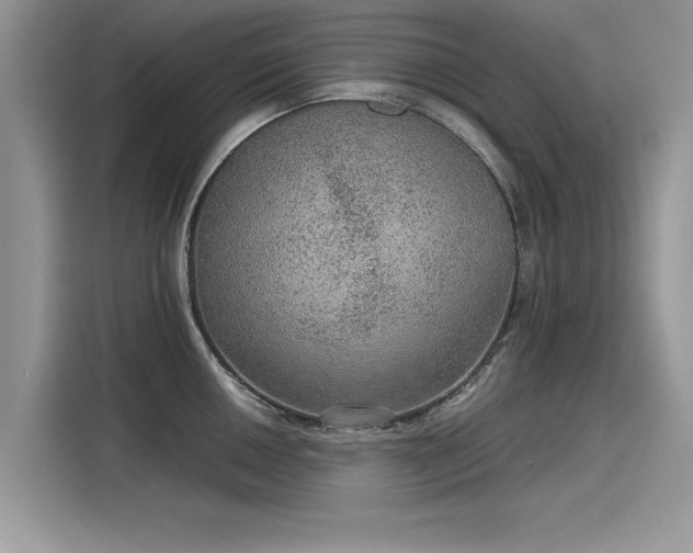 X0000116101050200911301059