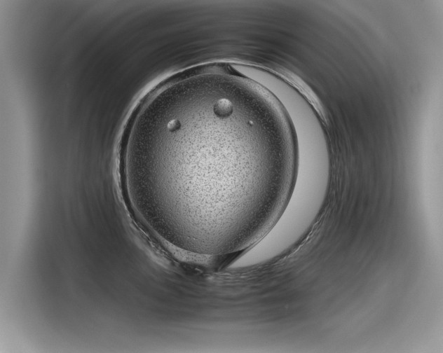 X0000116101051200911301059