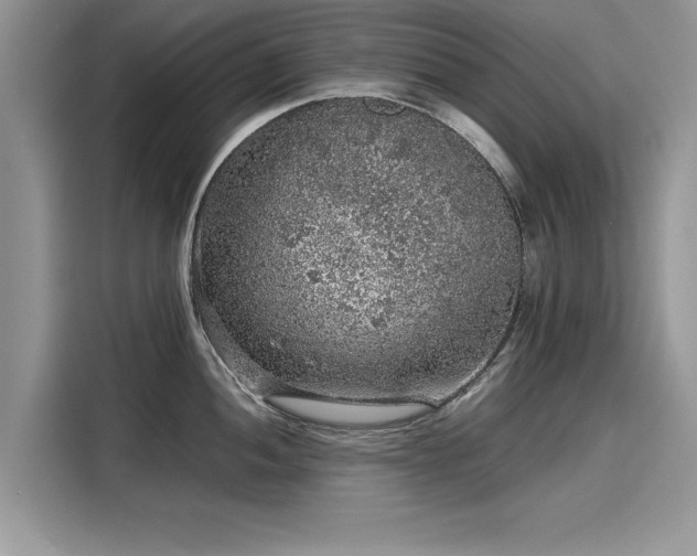 X0000116101052200911301059