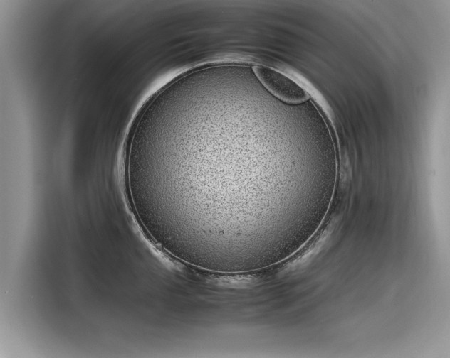 X0000116101053200911301059