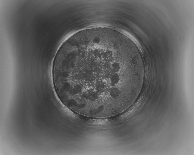 X0000116101055200911301059