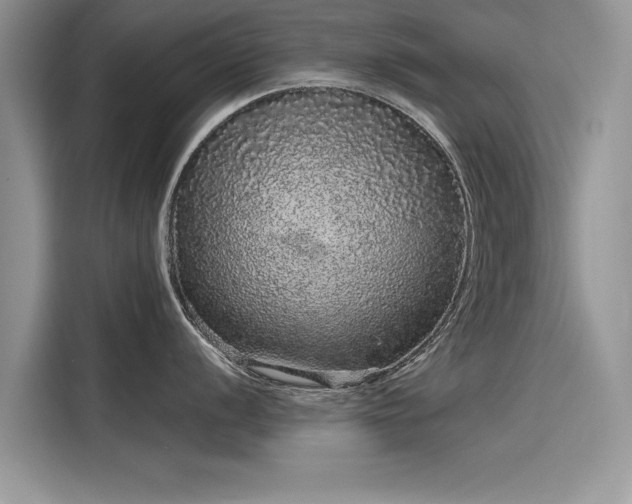 X0000116101056200911301059