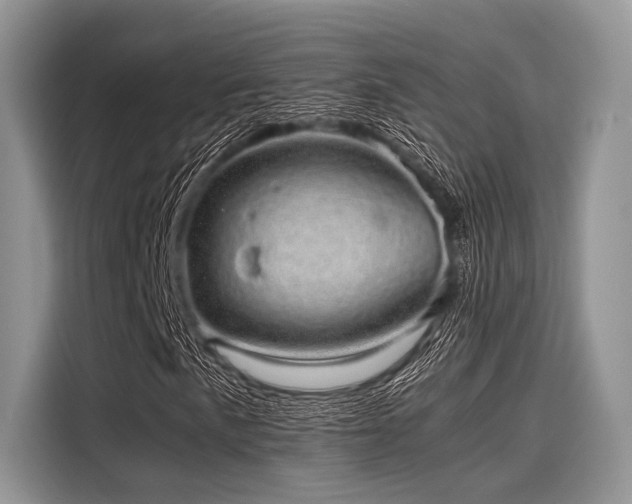 X0000116101057200911301058